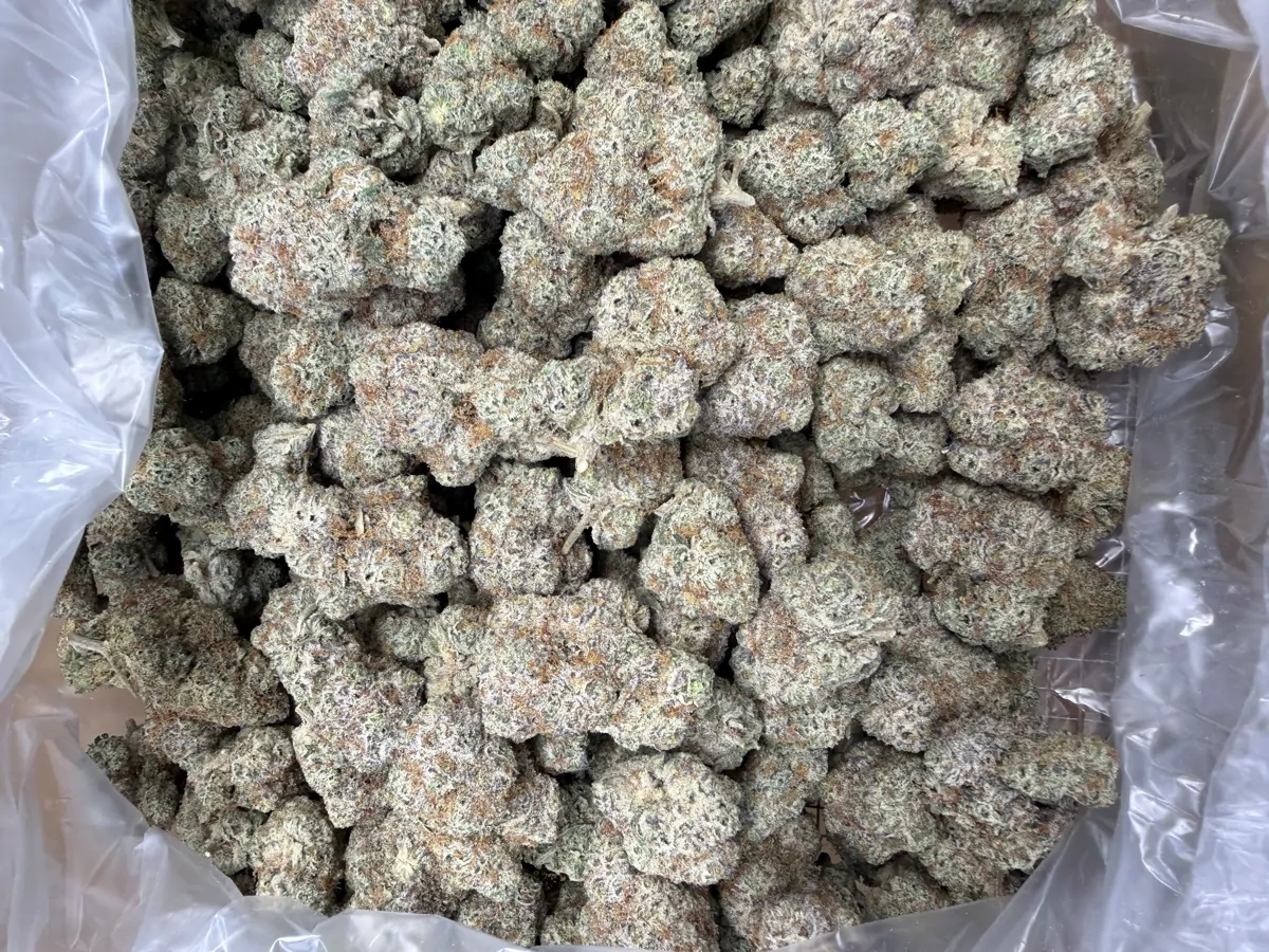 Gorilla Breath Flower